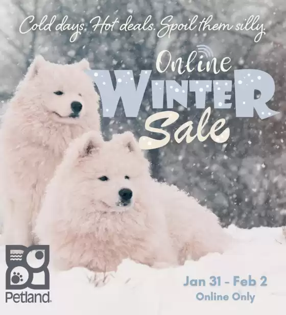 Petland catalogue in Saint-Lazare | Cold days, hot deals! | 2026-02-02T00:00:00.000Z - 2026-02-02T00:00:00.000Z