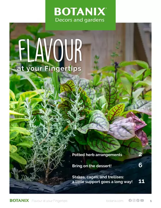 Botanix catalogue in Gatineau | Flavour Guide: Growing Successful Herbs & Small Fruits | 2026-02-03T00:00:00.000Z - 2026-02-17T00:00:00.000Z