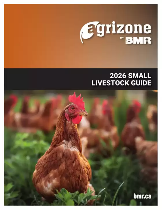 BMR catalogue in Red Deer | Top offers for all bargain hunters | 2026-02-06T00:00:00.000Z - 2026-12-31T00:00:00.000Z