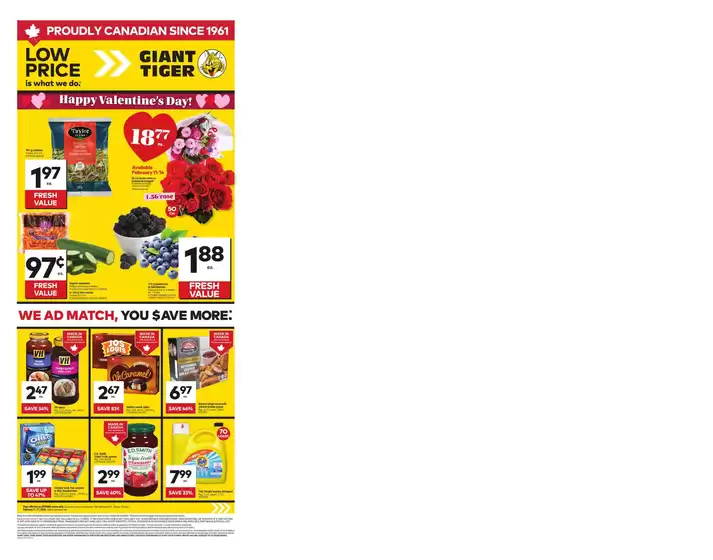 Giant Tiger catalogue in Prince Rupert | Great offer for bargain hunters | 2026-02-11T00:00:00.000Z - 2026-02-17T00:00:00.000Z