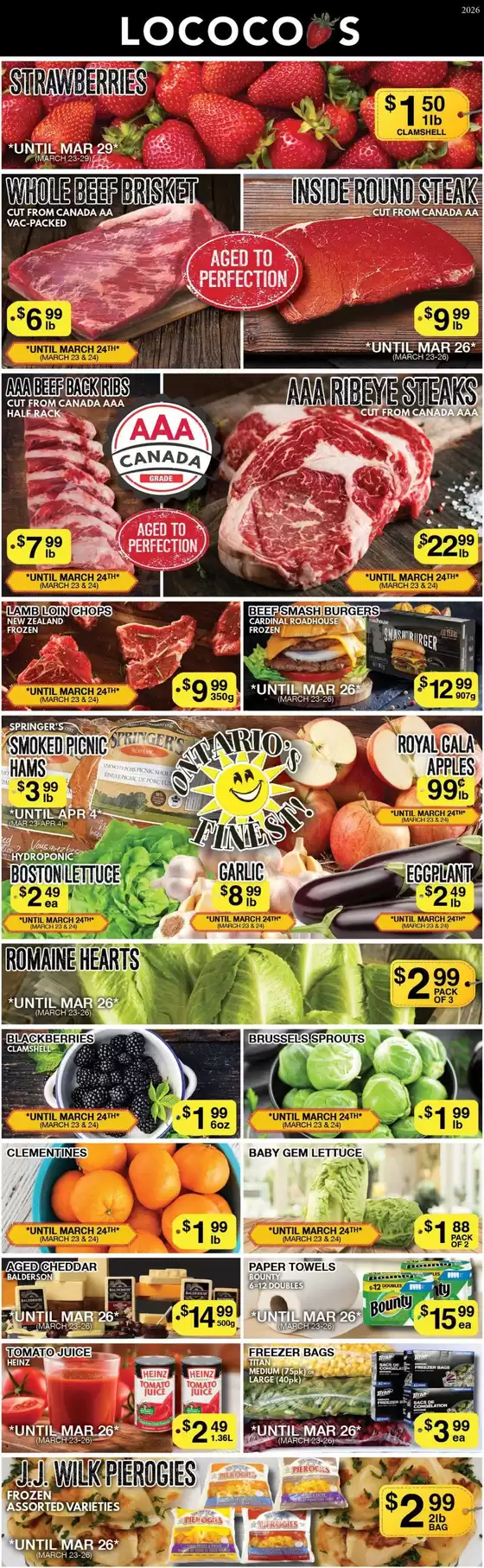 Lococos catalogue in Port McNeill | Lococos Weekly ad | 2026-03-23T00:00:00.000Z - 2026-04-04T00:00:00.000Z