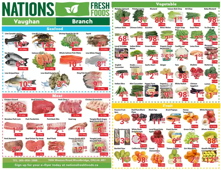 Nations Fresh Foods catalogue | Hot Weekly Deals | 2026-04-03T00:00:00.000Z - 2026-04-09T00:00:00.000Z