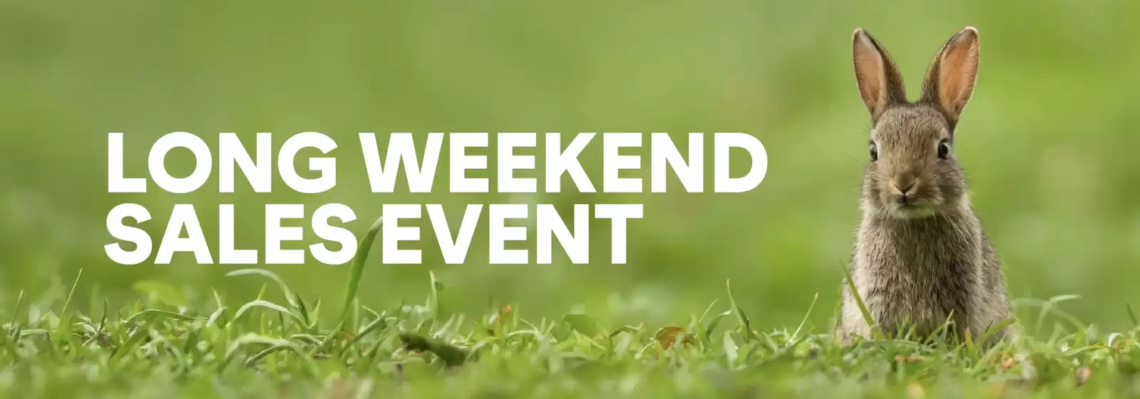 Henry's catalogue | Sales and promotions  | 2026-04-07T00:00:00.000Z - 2026-06-30T00:00:00.000Z