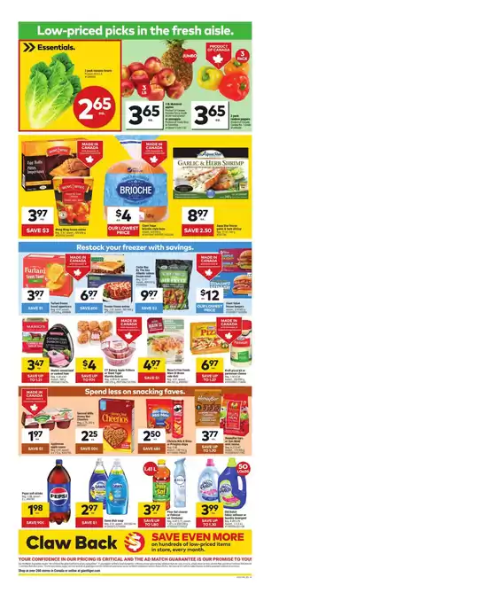 main_flyer image