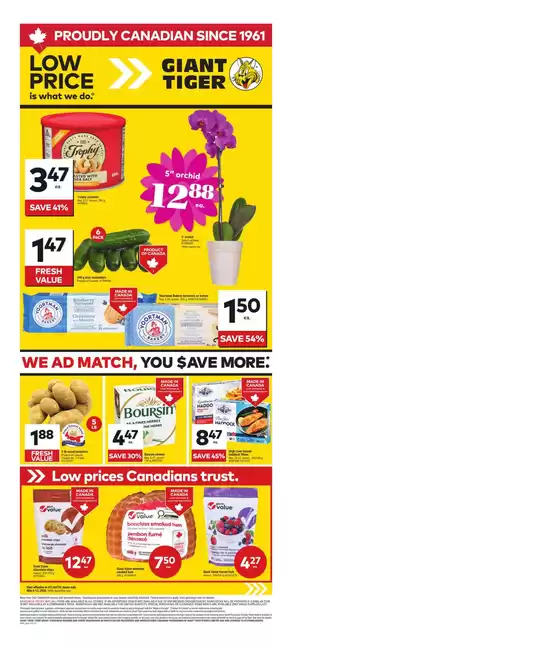 Giant Tiger catalogue | Discounts and promotions | 2026-05-06T00:00:00.000Z - 2026-05-12T00:00:00.000Z