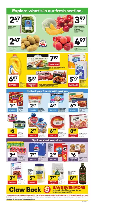 main_flyer image