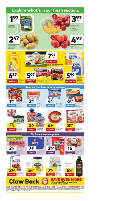 main_flyer image