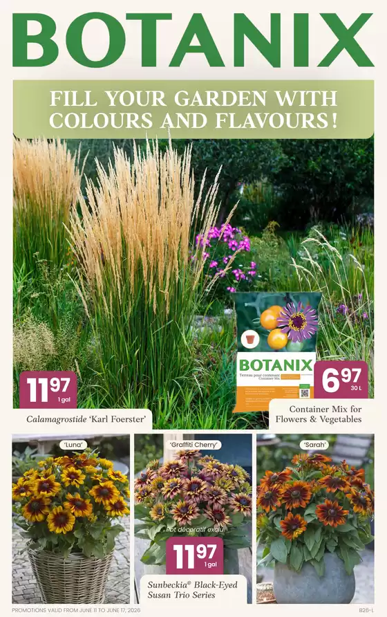Botanix catalogue | Botanix weekly flyer | 2026-06-11T00:00:00.000Z - 2026-06-17T00:00:00.000Z