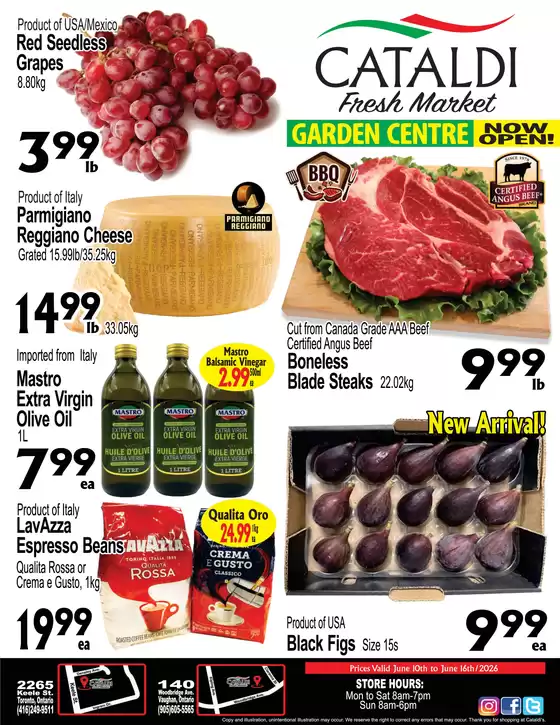Cataldi catalogue | Top deals for all customers | 2026-06-10T00:00:00.000Z - 2026-06-16T00:00:00.000Z