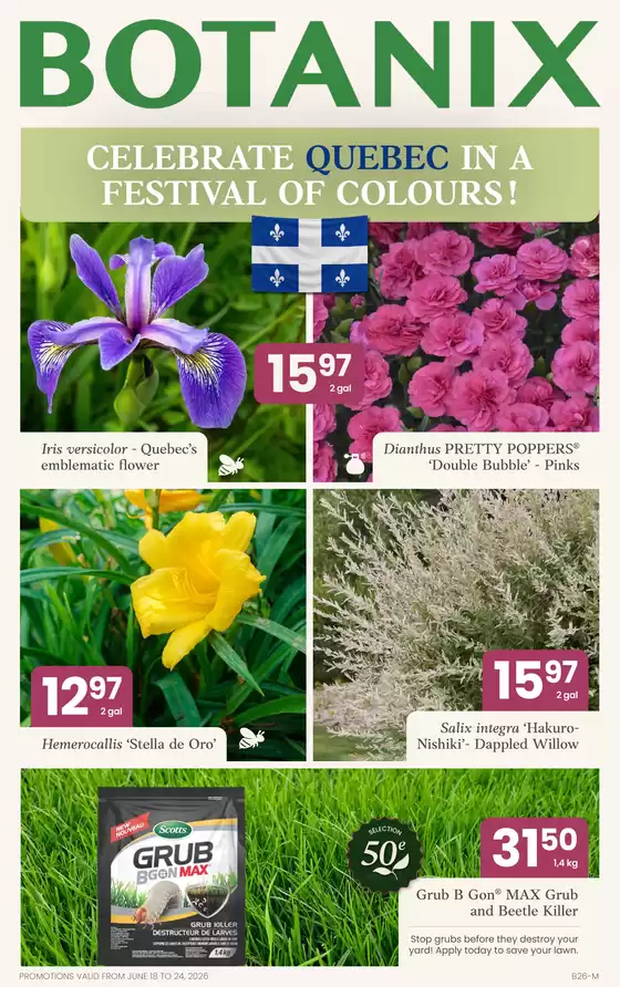 Botanix catalogue | Botanix Flyer: Celebrate Saint-Jean in Full Colour! | 2026-06-18T00:00:00.000Z - 2026-06-24T00:00:00.000Z