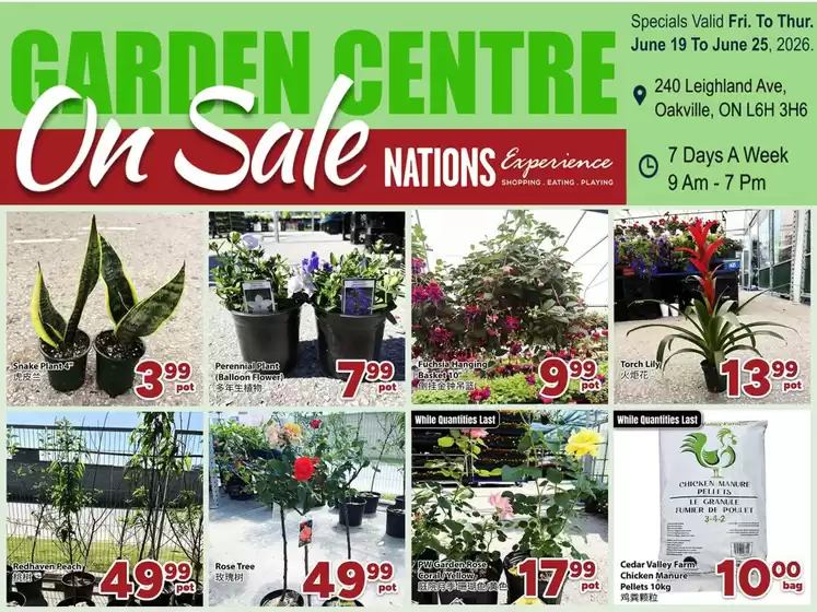 Nations Fresh Foods catalogue | Garden Centre On Sale — Fresh Blooms, Garden Favourites & More! | 2026-06-19T00:00:00.000Z - 2026-06-25T00:00:00.000Z