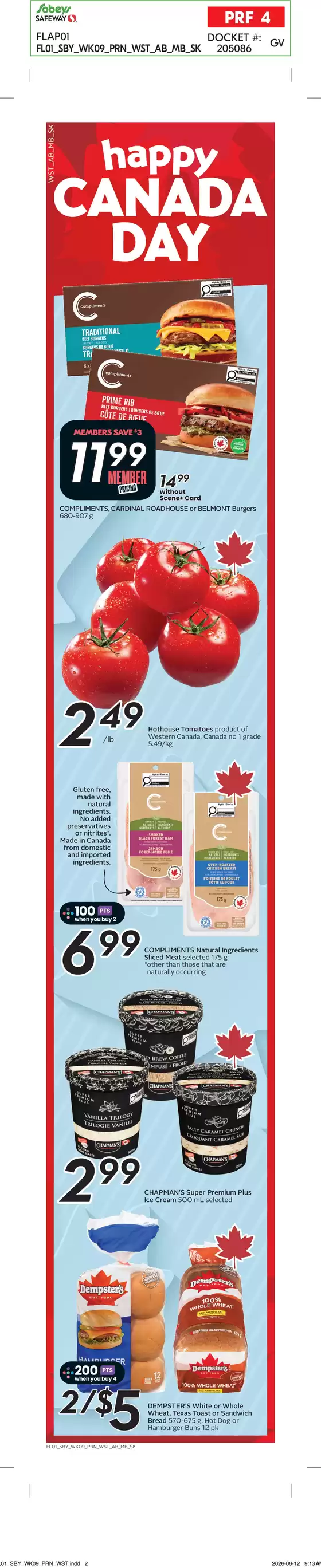 main_flyer image