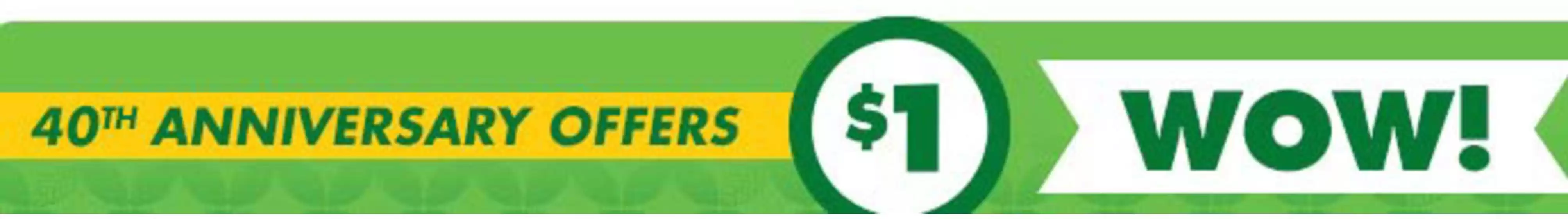 Dollar Tree catalogue | Offers 1 $ | 2026-06-29T00:00:00.000Z - 2026-07-13T00:00:00.000Z