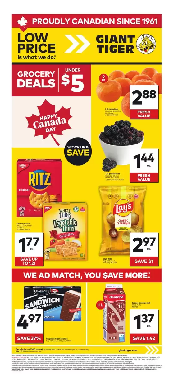 Giant Tiger catalogue in Rouyn-Noranda | Offers for bargain hunters | 2026-07-01T00:00:00.000Z - 2026-07-07T00:00:00.000Z
