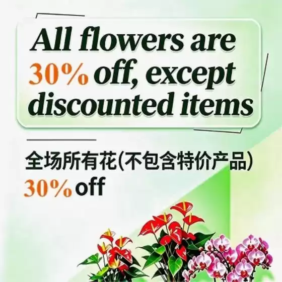 Nations Fresh Foods catalogue in Ottawa | Garden Center Fresh Deals Are Here!  | 2026-07-24T00:00:00.000Z - 2026-07-30T00:00:00.000Z