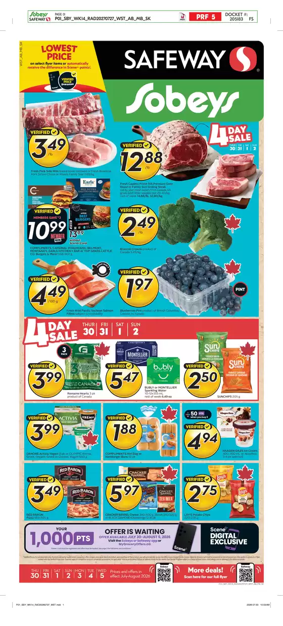 main_flyer image