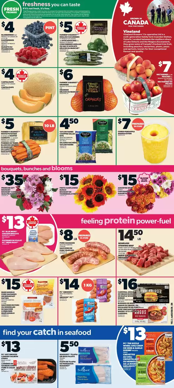 main_flyer image