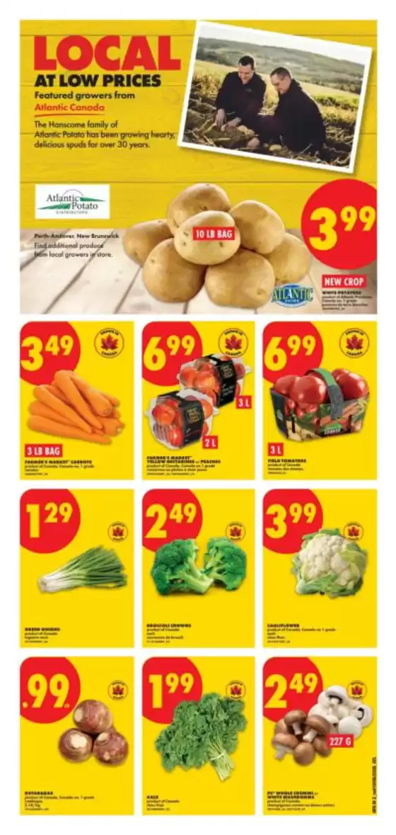 main_flyer image