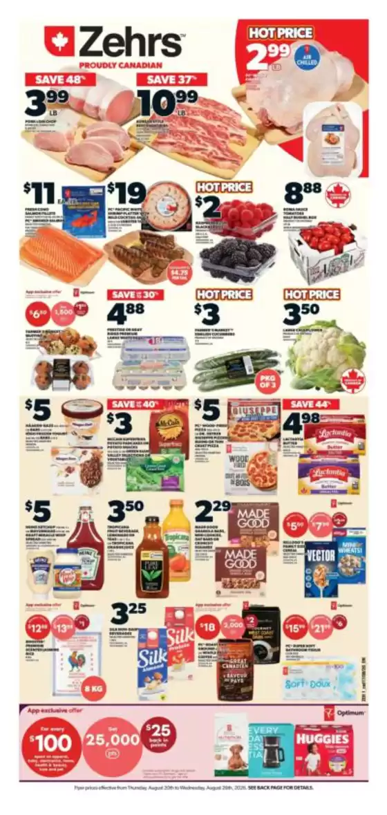main_flyer image