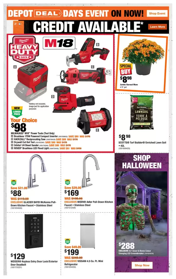 main_flyer image