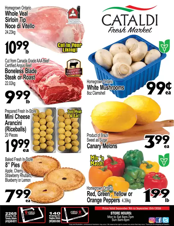Cataldi catalogue | Weekly flyer  | 2026-09-09T00:00:00.000Z - 2026-09-15T00:00:00.000Z