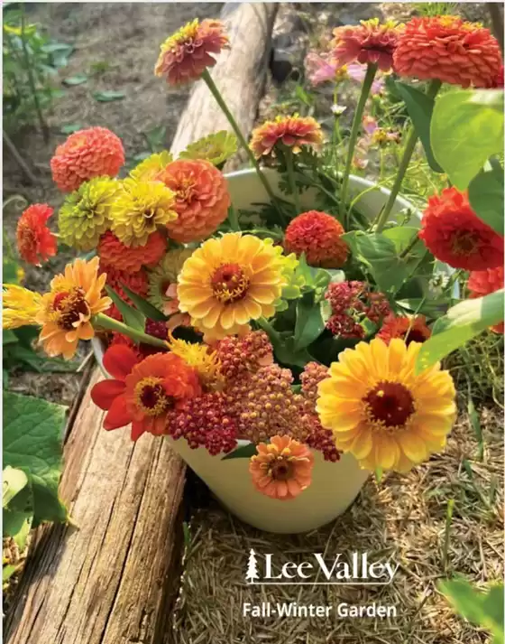 Lee Valley Tools catalogue | Fall winter garden  | 2026-09-09T00:00:00.000Z - 2027-02-28T00:00:00.000Z