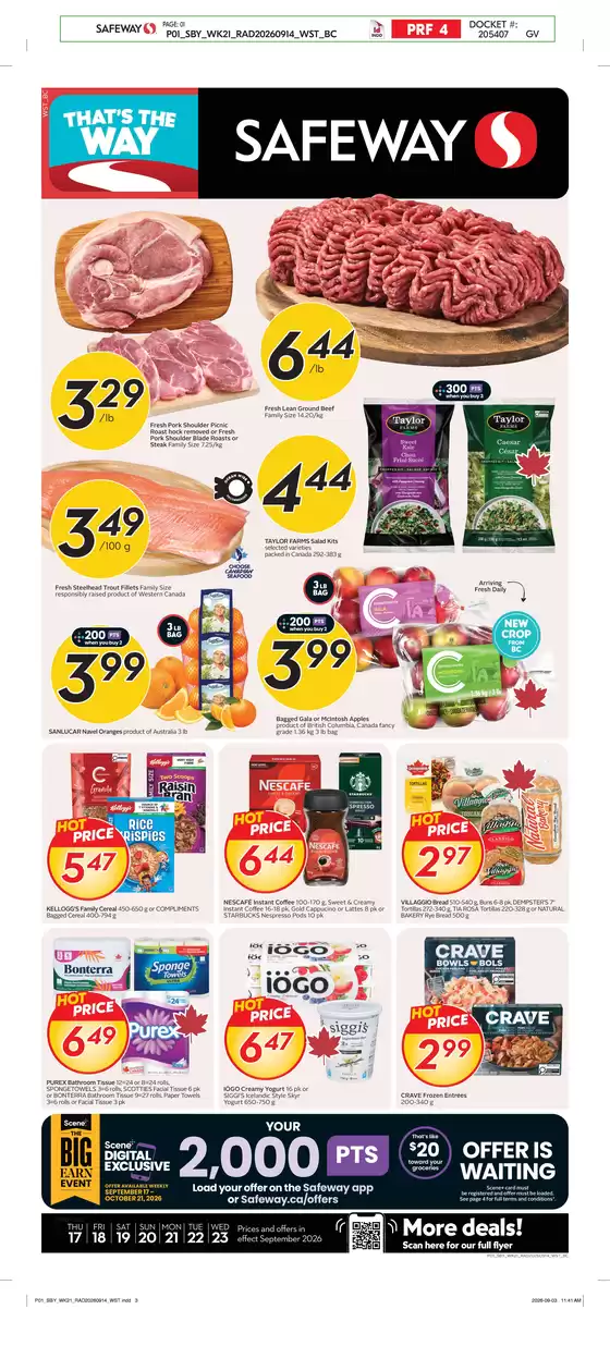 main_flyer image