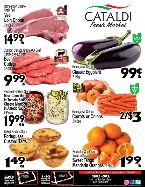 Cataldi catalogue | Great discounts on selected products | 2026-09-16T00:00:00.000Z - 2026-09-22T00:00:00.000Z