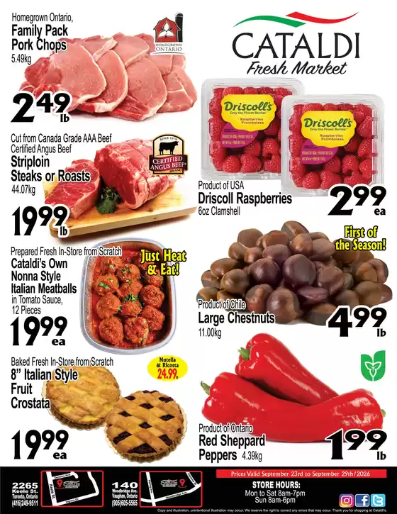 main_flyer image