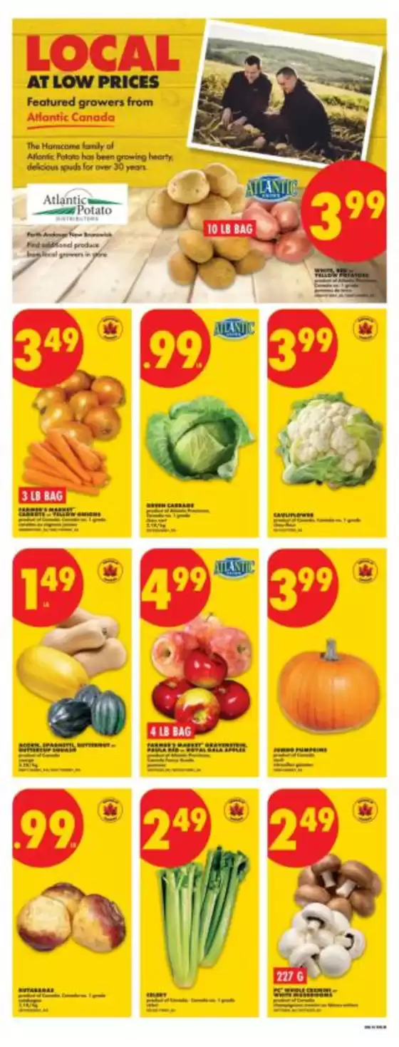 main_flyer image