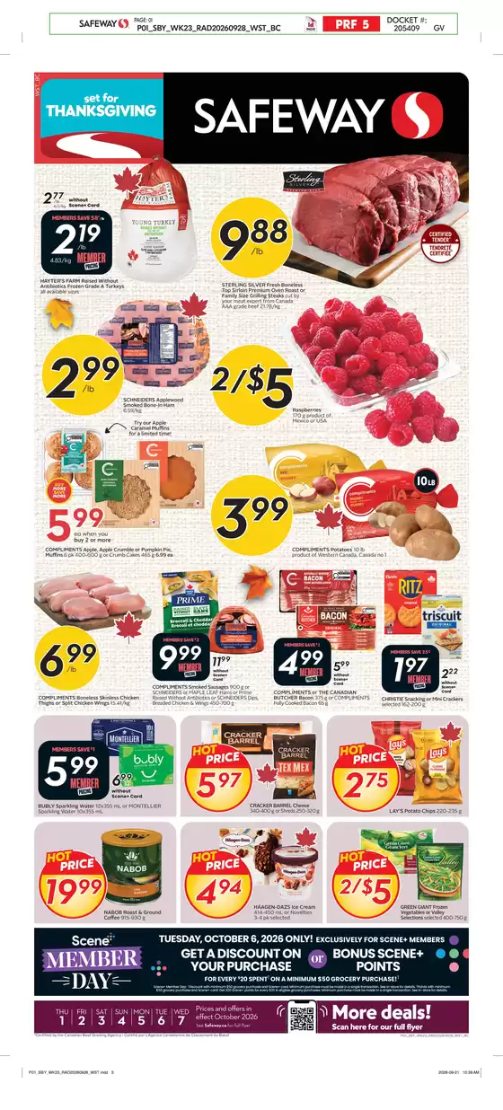 main_flyer image