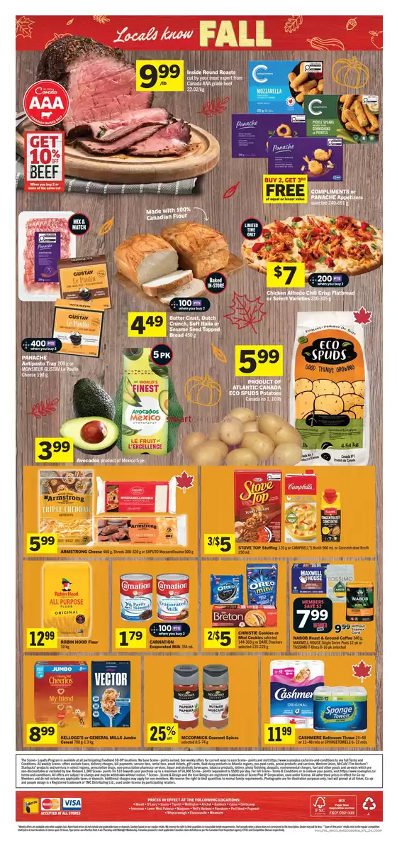 main_flyer image