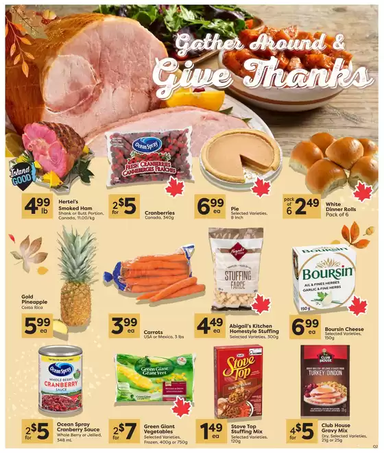 main_flyer image
