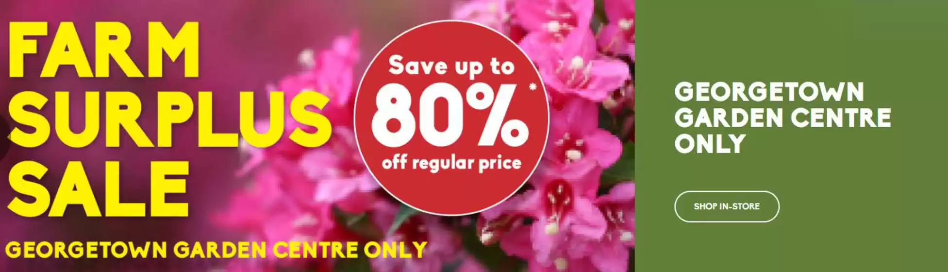 Sheridan Nurseries catalogue | Save u p to 80 % off | 2026-10-13T00:00:00.000Z - 2026-10-27T00:00:00.000Z