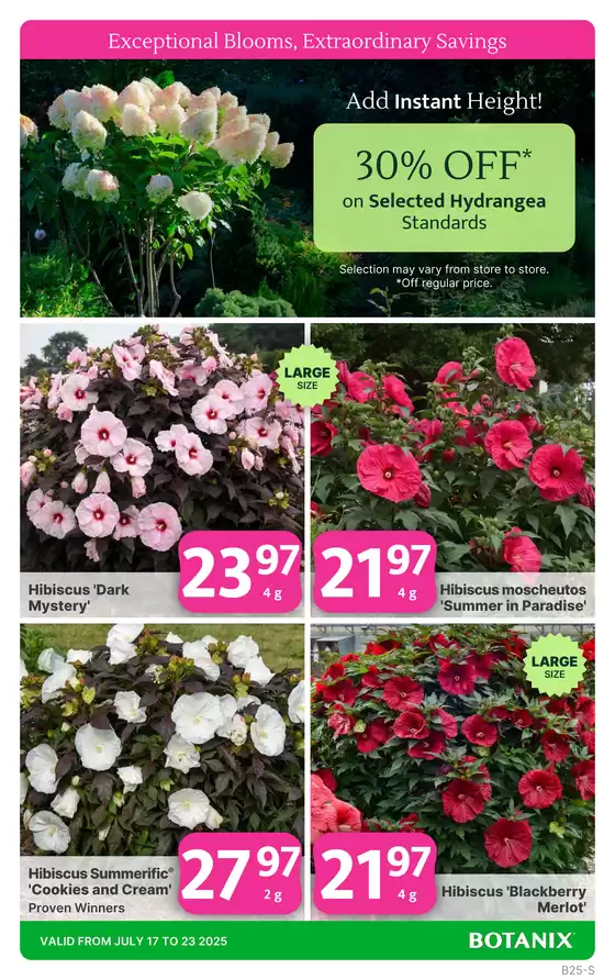 Your Garden, Your Staycation!