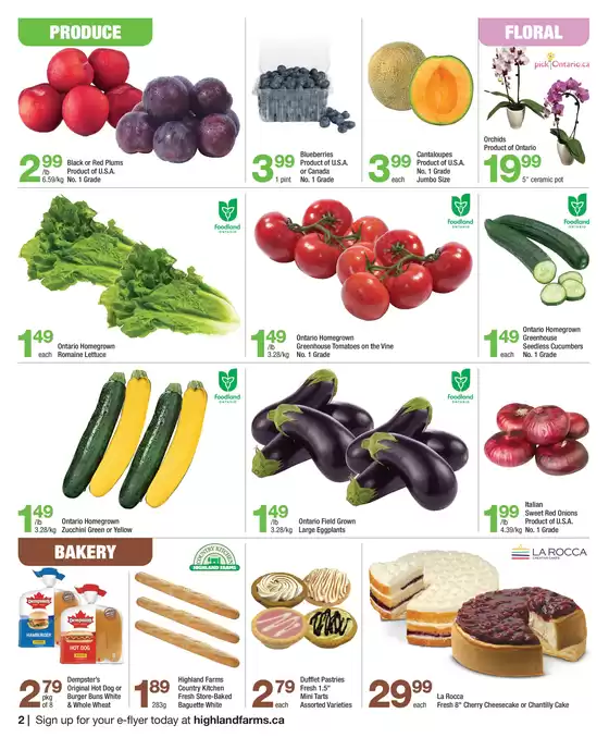 Highland Farms flyer