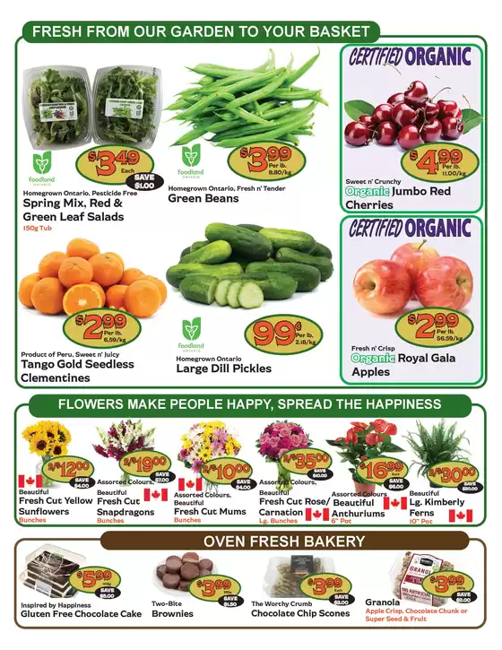 The Garden Basket