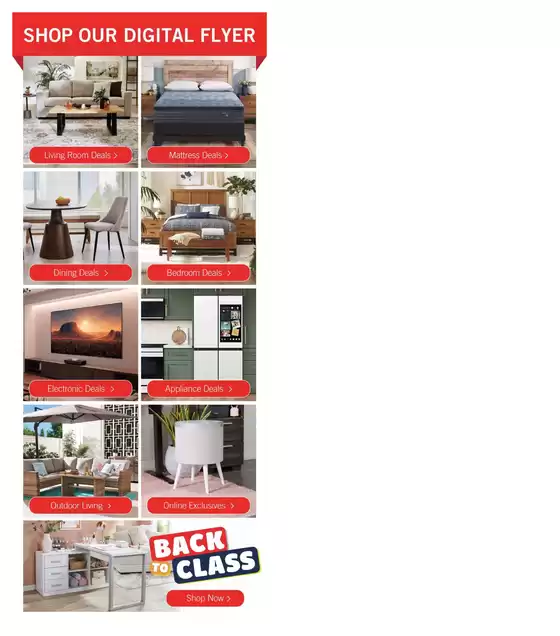 Our best bargains