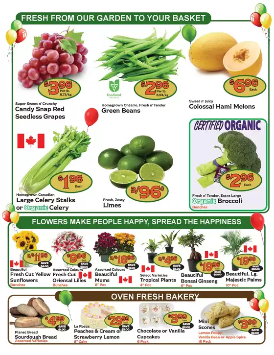 Amazing deals 