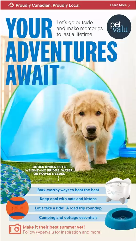 Petland catalogue in Fisherville ON | Catalogue Aug 1st-Aug 31st | 2025-08-11T00:00:00.000Z - 2025-08-31T00:00:00.000Z