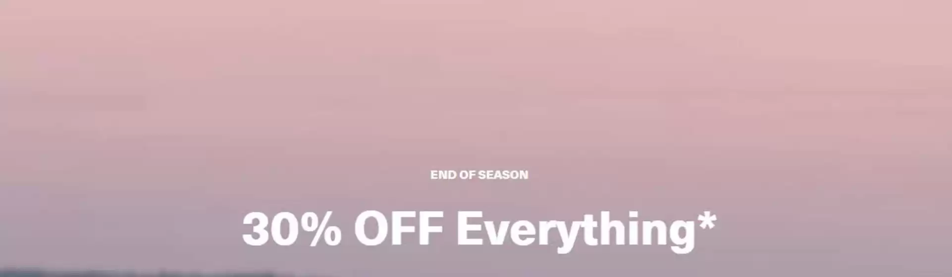 30% off everything 