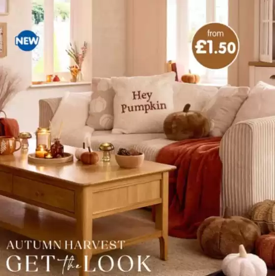 Autumn Harvest Get The Look