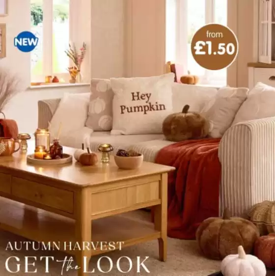 B&M Stores catalogue in Manchester | Autumnharvest Get The Look | 2025-08-27T00:00:00.000Z - 2025-09-21T00:00:00.000Z