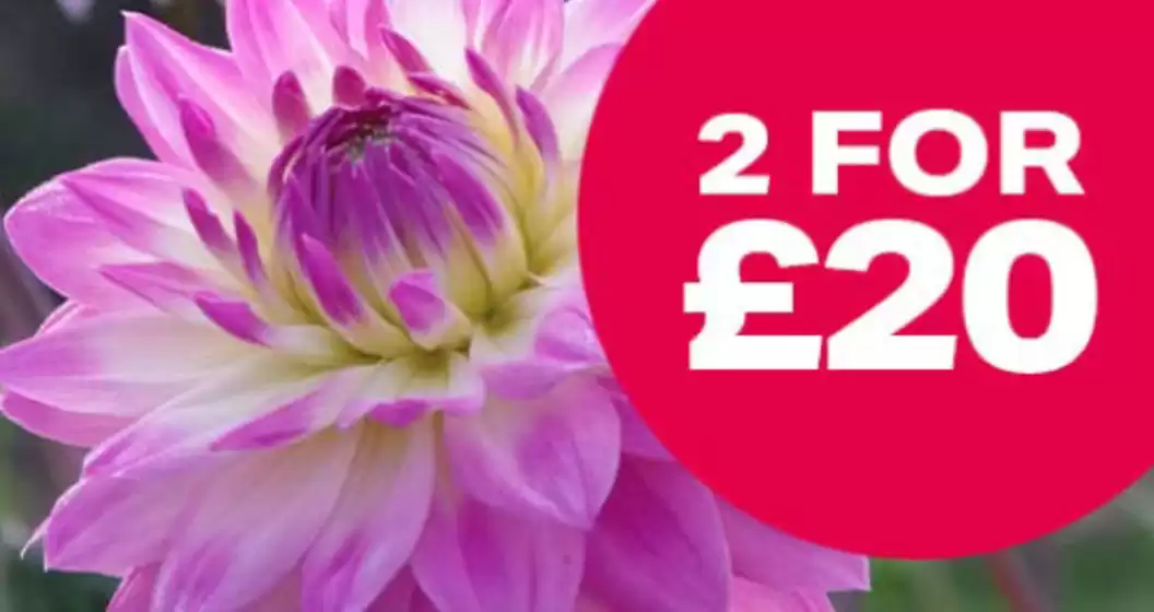3 For £25