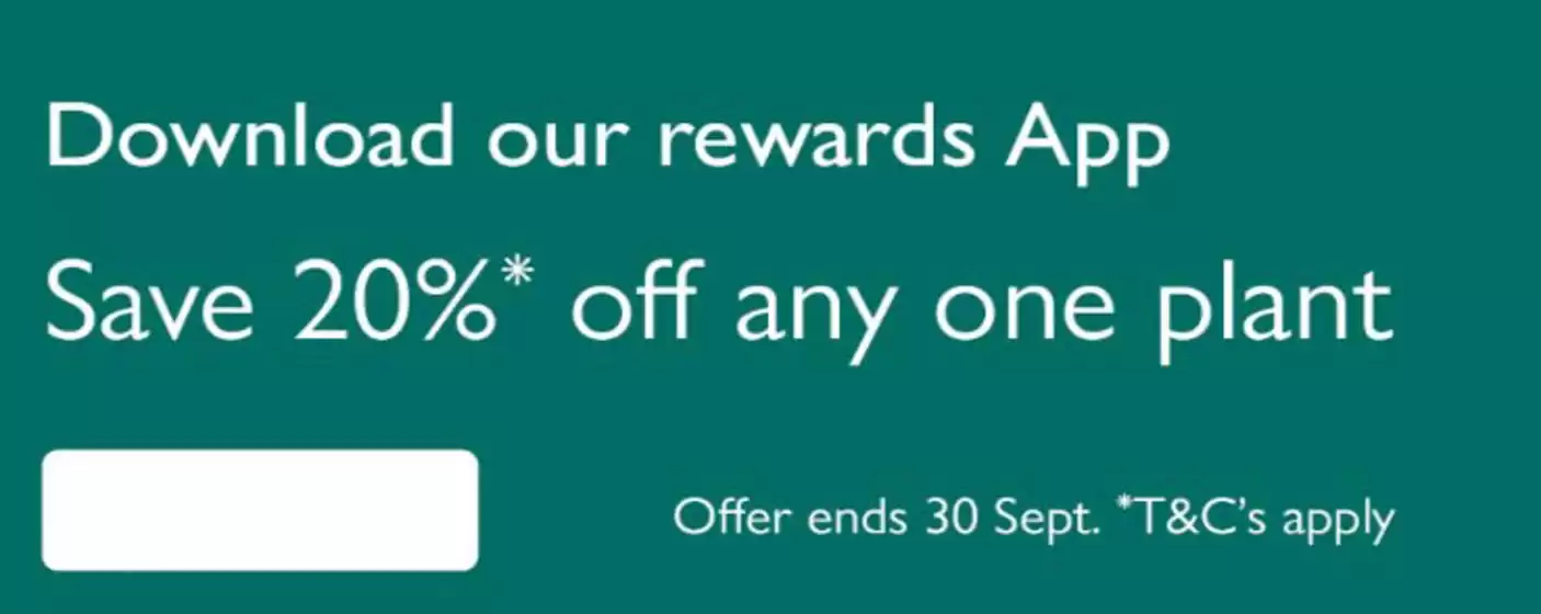 Squires Garden Centres catalogue in Croydon | Save 20% Off Any One Plant | 2025-08-29T00:00:00.000Z - 2025-09-15T00:00:00.000Z