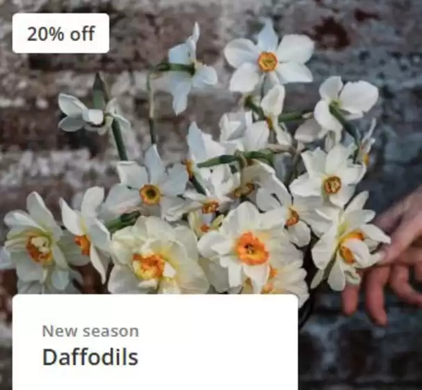 Crocus catalogue in Croydon | 20% Off. | 2025-08-29T00:00:00.000Z - 2025-09-04T00:00:00.000Z