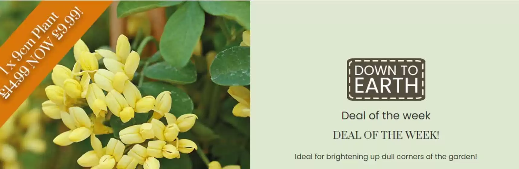Dobbies Garden Centre catalogue | Deal of the Week! | 2025-09-18T00:00:00.000Z - 2025-09-26T00:00:00.000Z