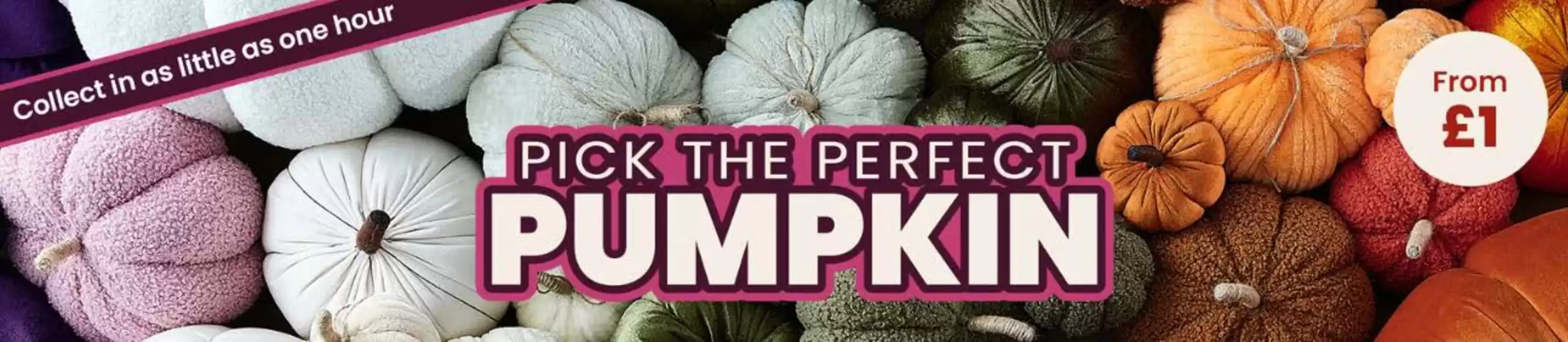 Pick The Perfect Pumpkin