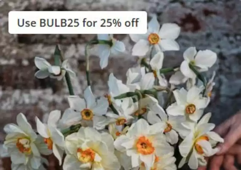 The Big Sale!.