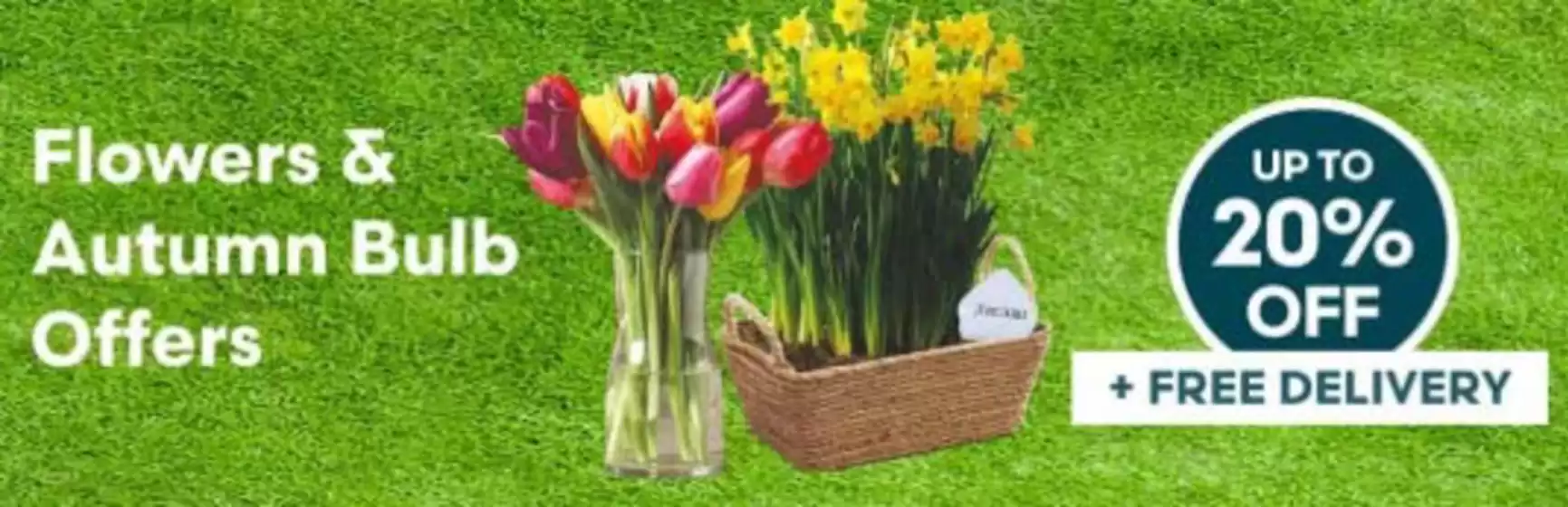 Robert Dyas catalogue in Mablethorpe | Flowers & Autumn Bulb Offers | 2025-10-08T00:00:00.000Z - 2025-10-20T00:00:00.000Z